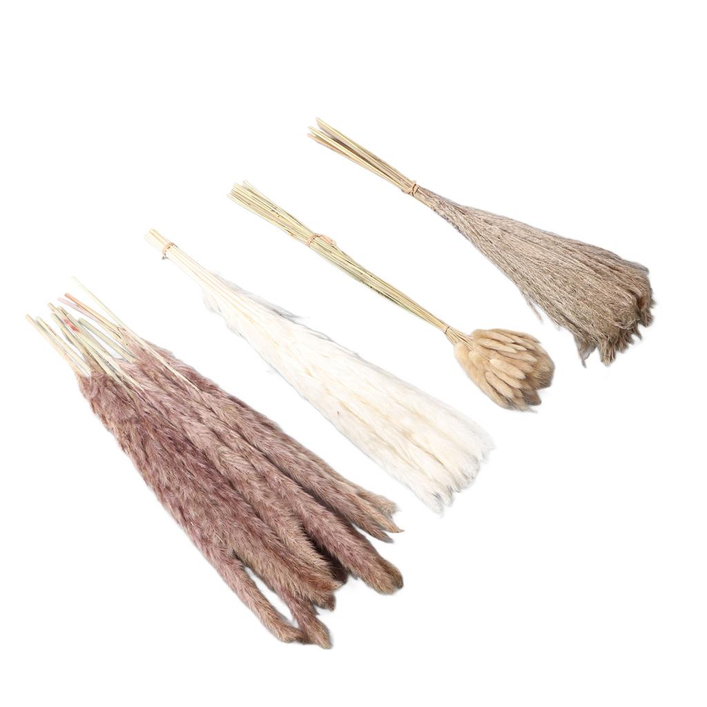 Natural Dried Pampas Grass Fluffy 15PCS White Pampas 15PCS Brown Pampas 50PCS Bunny Tail Grass