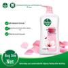 Dettol Shower Gel Twin Pack