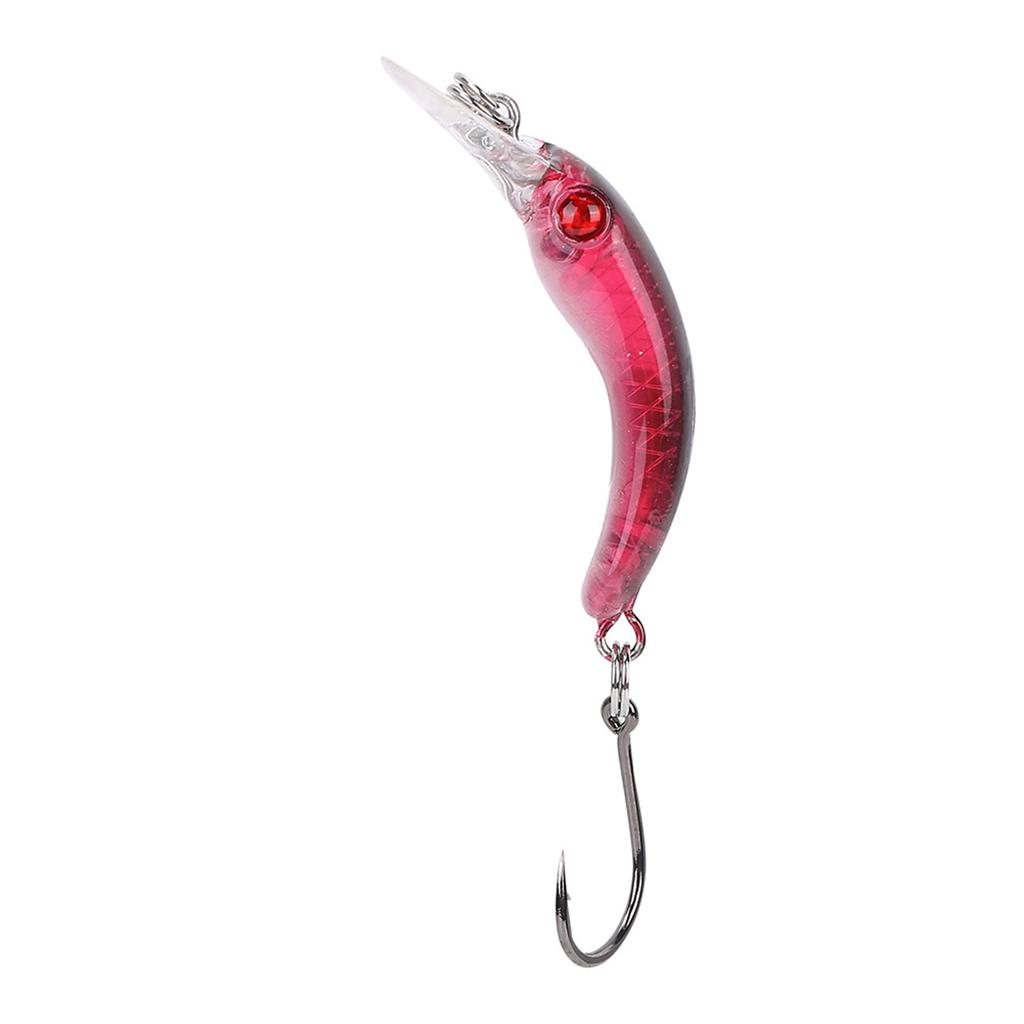 Lifelike Hard Lure Minnow Bait with Hook Fishing Crankbait Wobbler Tackle Accessory (D)