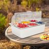 Countertop Food Display Container 2 Pans with 3 Ice Packs Cold Food Serving Tray Condiment Dispenser