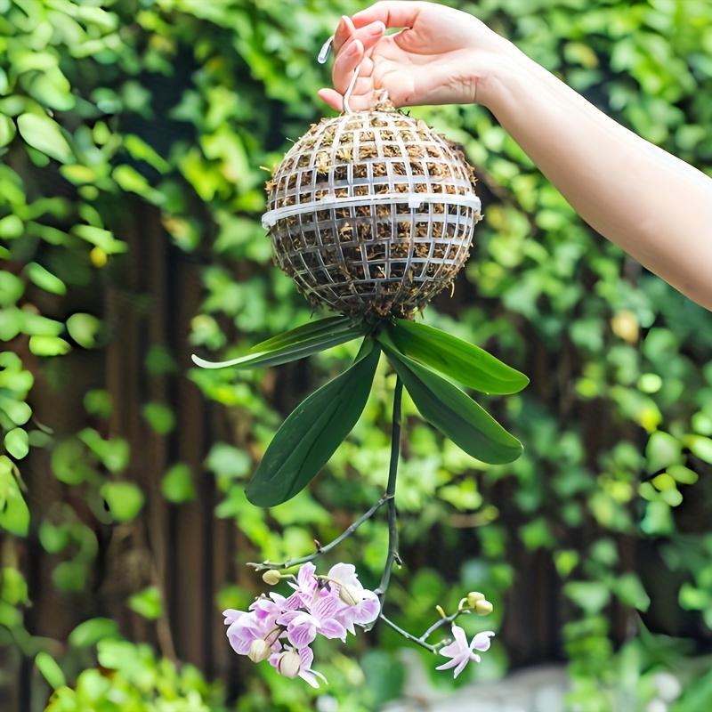 6pcs Modern Plastic Hanging Planter Balls with Drainage Holes, Round Indoor - Outdoor Gardening Accessories for Succulents