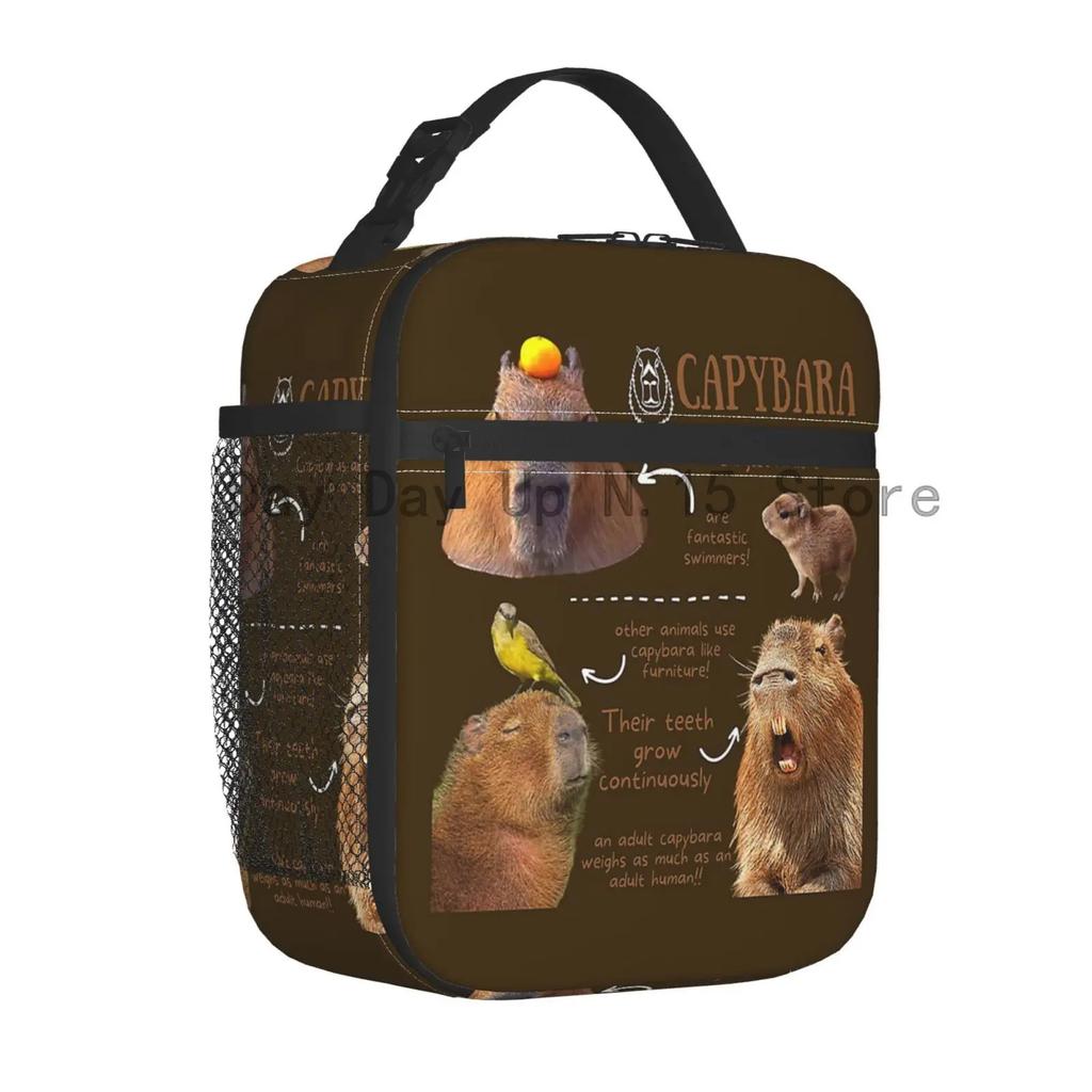 Roztomilá izolovaná taška na oběd s kapybarou pro ženy, opakovaně použitelná termotaška, chladicí taška na bento box do práce, školy, na cestování