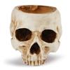 1pc,Resin Skull Planter Flower Succulents Pot Cactus Planter Pots Holder Halloween For Home Office (Plants Not Include)