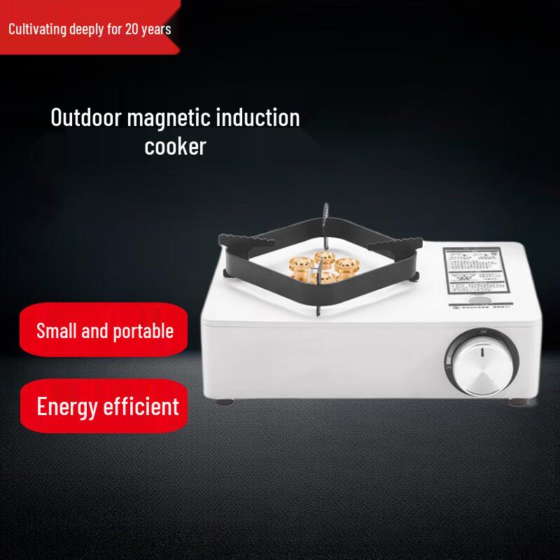 Beifu 4000W Outdoor Portable Gas Stove & Grill Kit