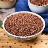 Premium Buckwheat Tea 280g Good for Health