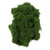 Artificial Moss for Indoor Outdoor Decor Available in 50g 100g 200g Sizes