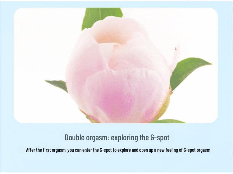 Mi Ji Flower Yang Dot AV Stick Vibrator - Weiblicher Masturbator, Spielzeug für Erwachsene