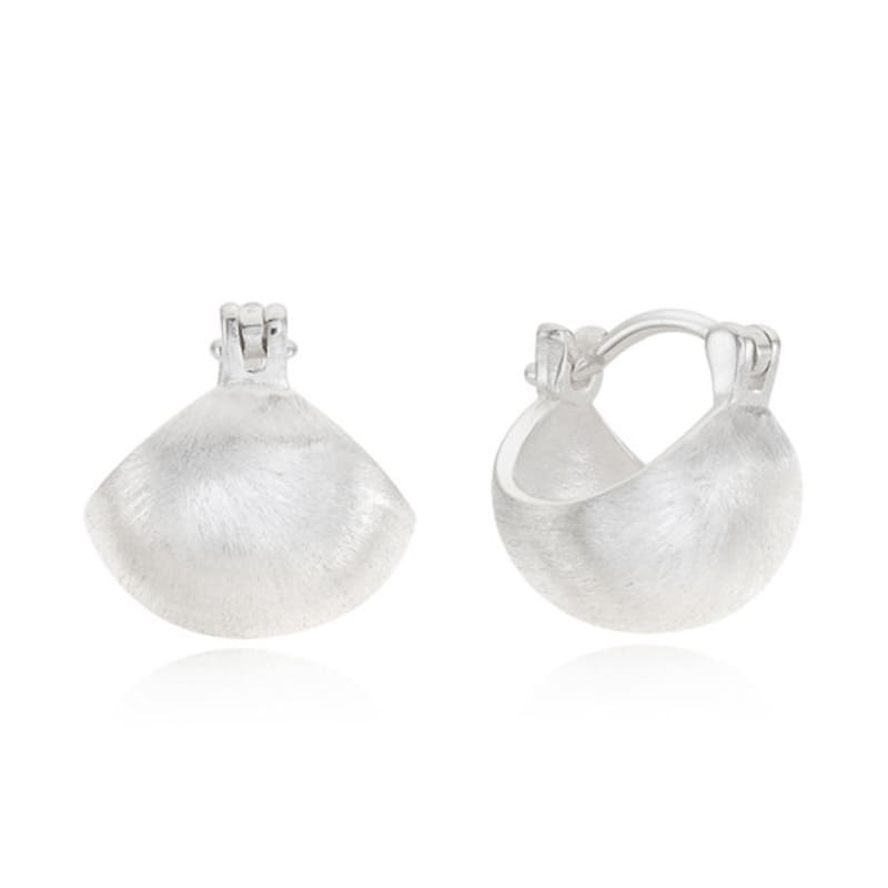 ROAJU [silver925]shimmer sector earring