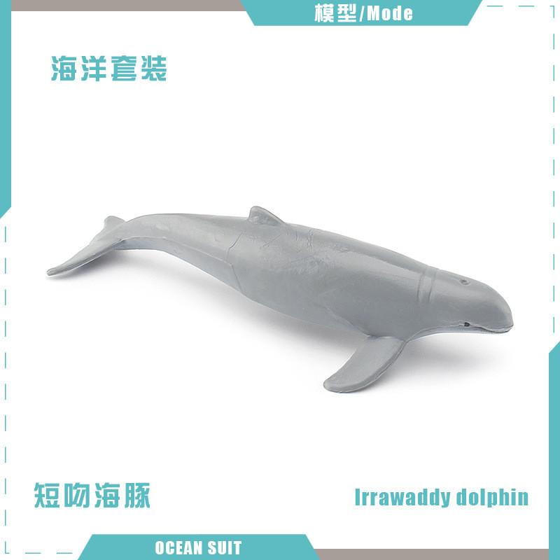 Zestaw modeli zwierząt oceanicznych premium z PVC, w tym rekiny, żółwie, delfiny, pingwiny i kraby do zabawy edukacyjnej