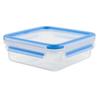 Japan Tfal Master Seal RectangleSquare Storage Container