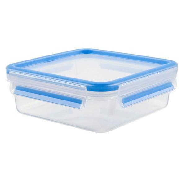 Japan Tfal Master Seal RectangleSquare Storage Container