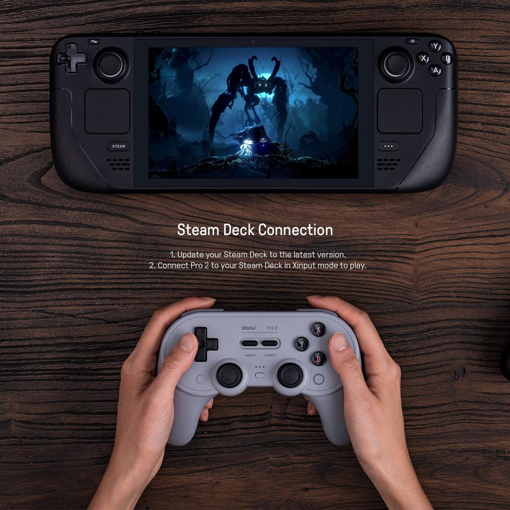 8Bitdo Pro 2 Gamepad (Graue Version) für NS Switch, PC, Android, macOS, Steam Deck, iPhone, iPad, macOS, Apple TV und Raspberry Pi