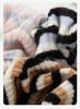 Women's 2025 Color-Block Striped Knit Sweater: Round Neck, Slim Fit, Warm Wool for Autumn/Winter