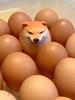 Shiba Inu Realistic Egg Shape PVC Desk Decor, Dog and Egg Union Decorations for Home, Offices, Fun Christmas Gifts