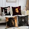 VVampire Hunter D Pillow cases Organic Linen Pillow Case DoubleSided Print Cushion Cover for Sofa Home Decor Gift