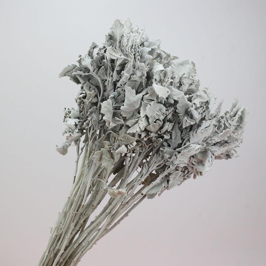 Preserved Eucalyptus & Sunflower Bouquet with Baby's Breath and Reeds – Perfect for Living Room Decor or Photography