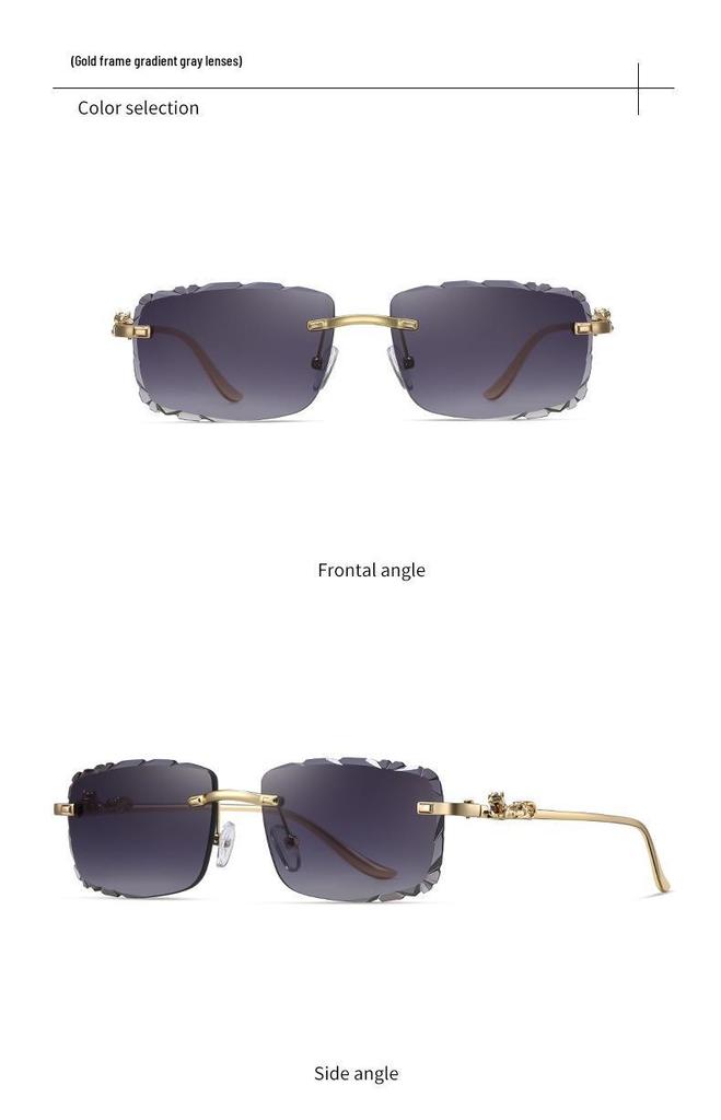 Leopard Head Rimless Sunglasses: Women's & Men's Small Square Frame