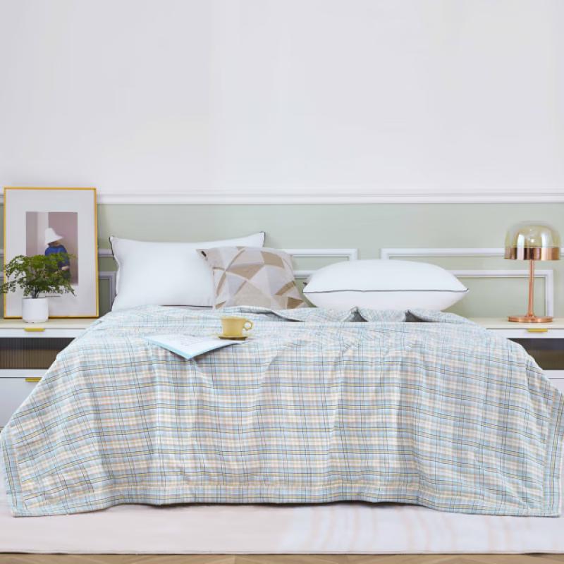 

Pielte Paul Xinjiang Cotton Summer Quilt