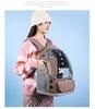 Large Capacity Breathable Cat Backpack - Portable Space Capsule Design for Outings