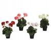Artificial Decorative Flower In a Black Pot 35cm 1 Pc.