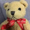[USED] Atsuki Onishi Teddy Bear Nu143
