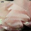 1M Iridescent Organ Pleated Fabric Shiny Magic Coloured Voile Fabric For DIY Costume Wedding Photography Background Decor