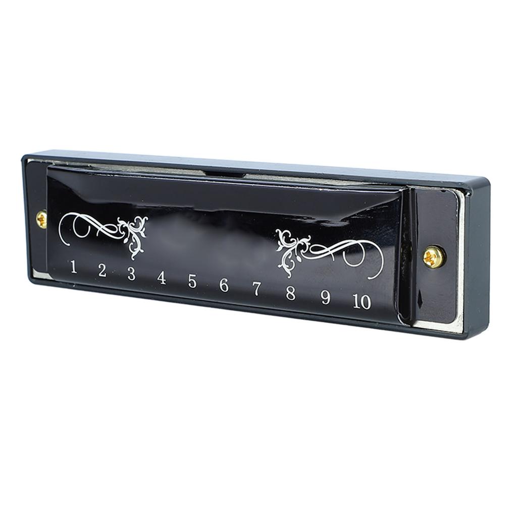 Harmonica 10 Hole 20 Tune C Key Professional Standard Mouth Organ with Case for Kid Beginner