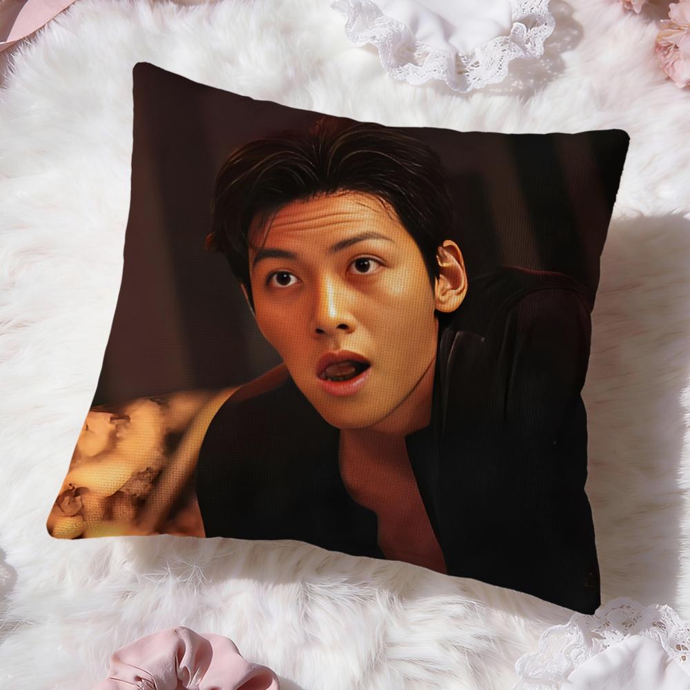 Ji Chang W-Wook Kpop Cushion Cover Premium Comfort Reversible Pillow Cove -Two in One Design for Any Room & Car Interior