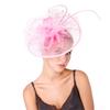 Feather Decorated with Mesh Veil Hat Outdoor Tulle Hair Accessory Fascinator For Weddings Special Occasion