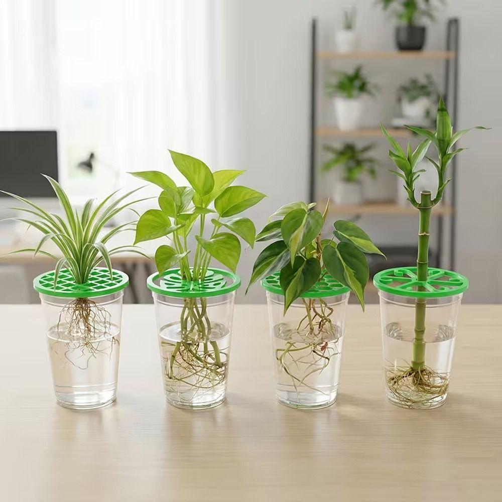 Flower Stem Holder Plant Starter Trays Germination Cover Plant Propagation Trays  Horticultural