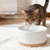 Heated Ceramic Pet Water & Yogurt Bowl for Cats & Dogs
