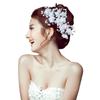 Pearl Plait Hair Festival Headdress Accessories Hairpin Bride Hairpin Hair Clip Floral Hairpin
