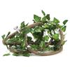 Reptile Climbing Branch Flexible Jungle 9.84ft Rattan 3 Vines( 9.84ft Rattan+Scindapsus Leaves)