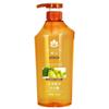 Fenghua Ginger Hair Strengthening Shampoo