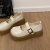 Black French Retro Platform Heightening Small Leather Shoes Women's 2025 New Summer Skirt Shallow Mouth Mary Jane Single Shoes