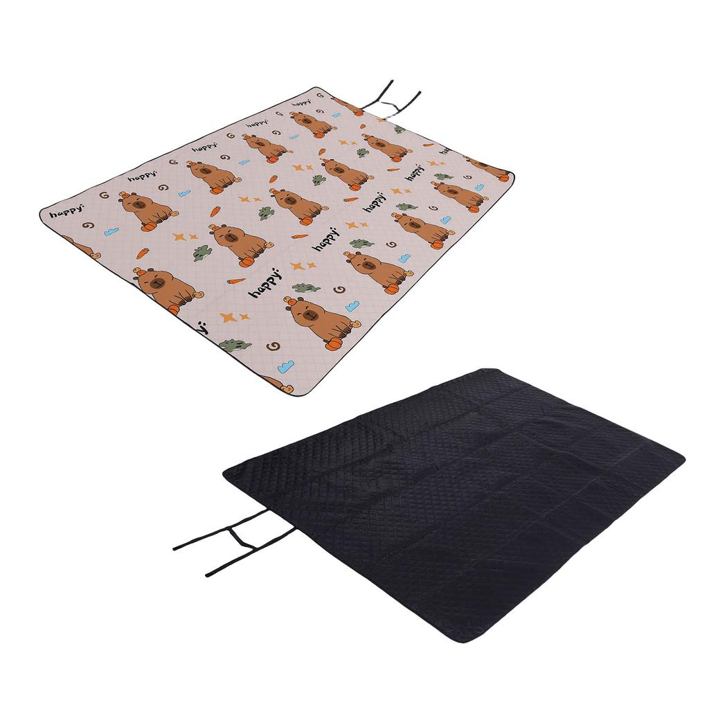 Picnic Blanket Water Proof Damp Proof Thickened Portable Foldable Picnic Mat for Outdoor Activities