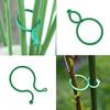 Plant Twist Clip, Lace, Garden Plant Support Clip, Vegetable, Tomato Vine Flower, Clip Plant Lock, For Fixing Plants /50 Pieces AVE