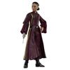 Hasbro Star Wars Black Series Padmé Amidala, Star Wars: The Phantom Menace Collectible 15cm (6-inch) Action Figure, Ages 4+, G0025, Authentic