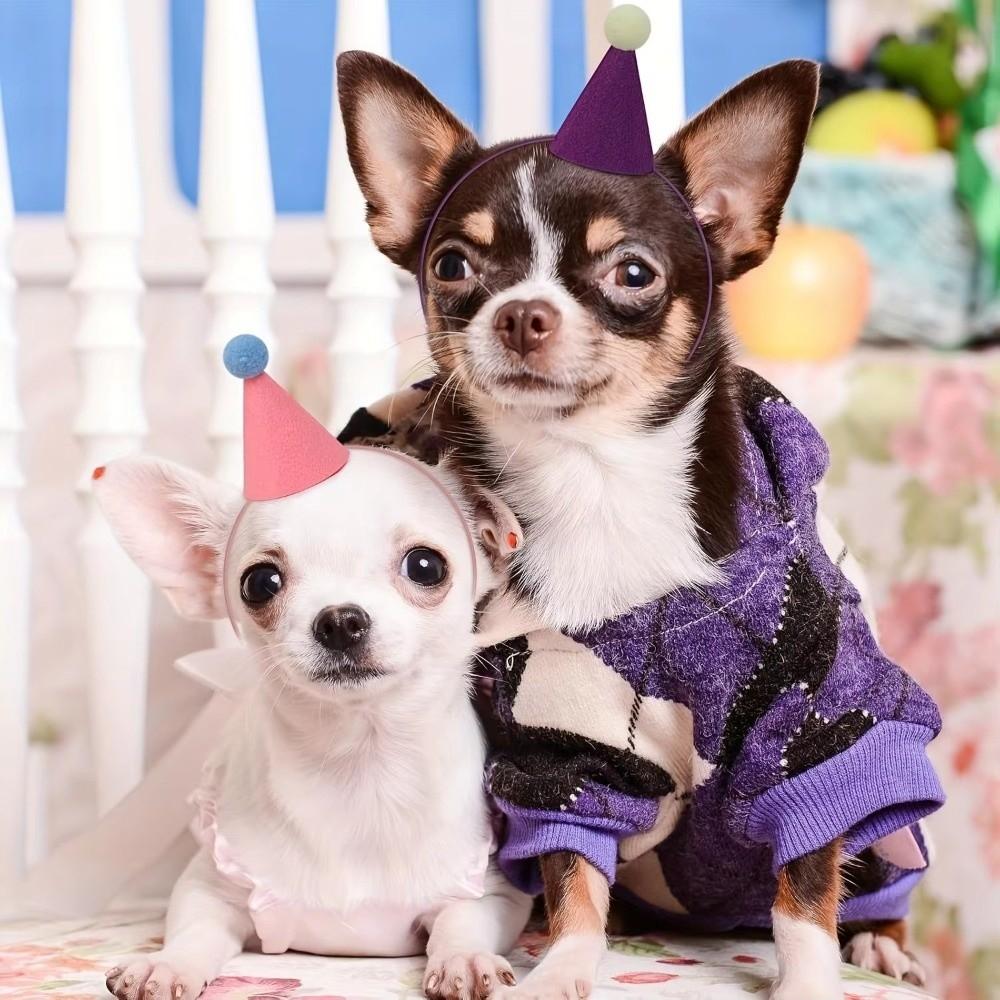 Reusable 6pcs Set Mini Party Hats Lightweight Colorful Party Hats Cone Hats New Year Celebration