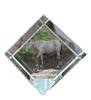American Quarter Horse – Crystal Cube with a Horse Picture, Horse Picture In Crystal |