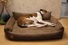 Rocky Orthopedic Brown Dog Bed - 97cm x 86cm