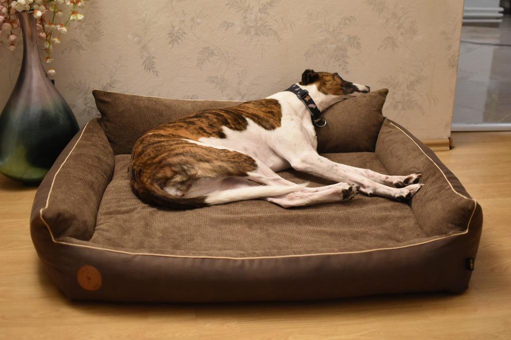 Rocky Orthopedic Brown Dog Bed - 97cm x 86cm