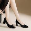 Light Luxury Black High Heels Fashion High-end Early Spring Single Shoes Thick Heel One Pedal Comfortable Versatile Light Mouth Women's Shoes