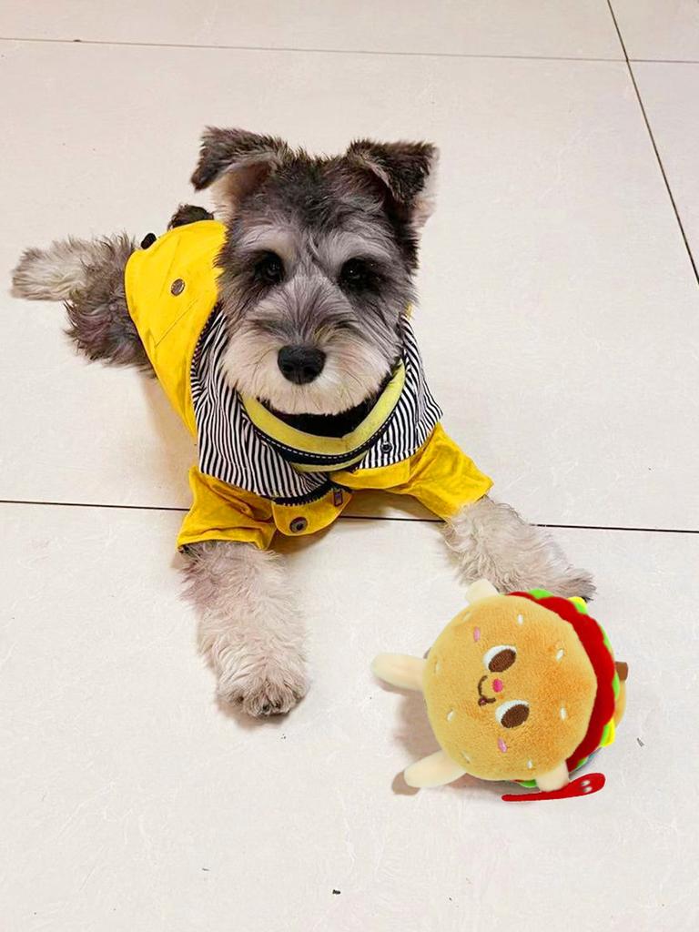 1pc-Burger design, pet teeth grinding, squeaking plush toys, durable dog chew toys, interactive products