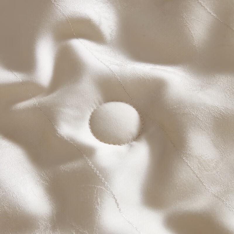 Mengjie 60 Tencel Jacquard Milk Protein Fiber Quilt