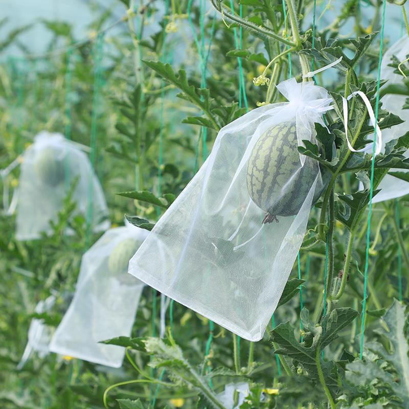 50 Buc Pungi Protecție Fructe Struguri Controlul Dăunătorilor Anti-Pasări Pungi Plasă pentru Grădină Net Agricolă pentru Pom Fructifer Pungi Unelte Grădină