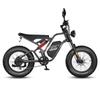 Electric Bicycle All Terrain Fafrees F20 Ultra 750W Motor 20" Tire Fully Suspended Adult Electric Bike 48V 25AH LCD Display 7 Speed