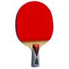 Double Fish 4-Star Table Tennis Racket
