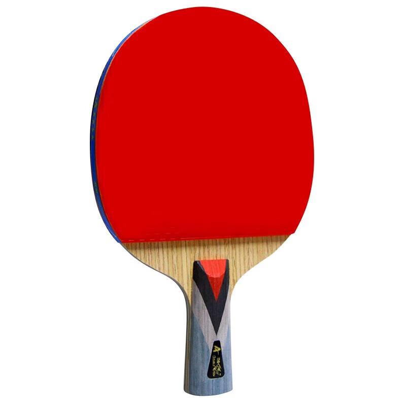 Double Fish 4-Star Table Tennis Racket
