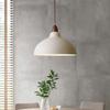 Iron Material Pendant Light Fixture AC 85-265V Pendant Light Hanging Ceiling Lamp  Corridor
